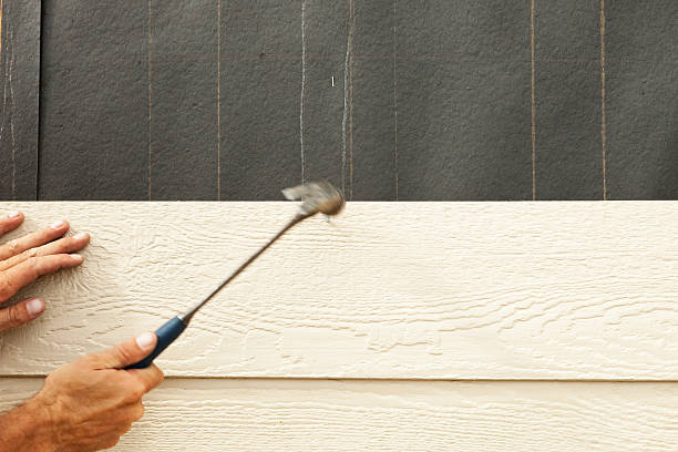 Best Storm Damage Siding Repair  in Candler Mcafee, GA